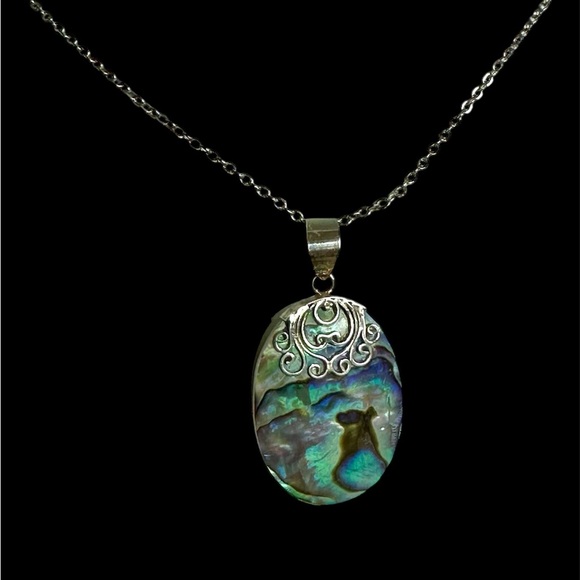 Beautiful oval abalone pendant decorative sterling bail 18”stainless steel chain - Picture 1 of 4